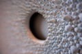 0020-20190617sm
