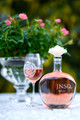 0002-JNSQ-2019-Favorites